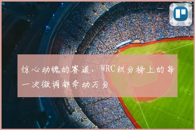 惊心动魄的赛道，WRC积分榜上的每一次微调都牵动万分