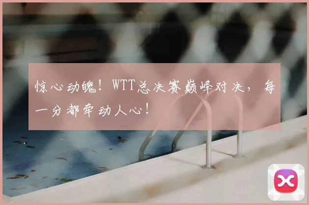 惊心动魄!WTT总决赛巅峰对决,每一分都牵动人心!