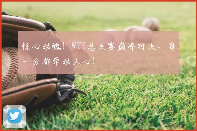 惊心动魄！WTT总决赛巅峰对决，每一分都牵动人心！